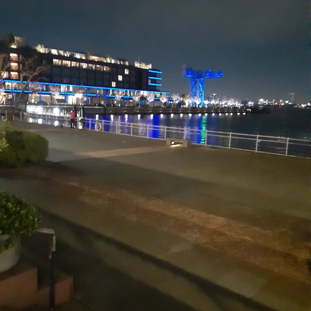 夕方のハンマーヘッド